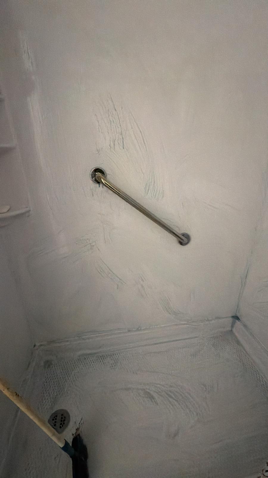 Cleaning project: shower wall and grab bar during cleaning